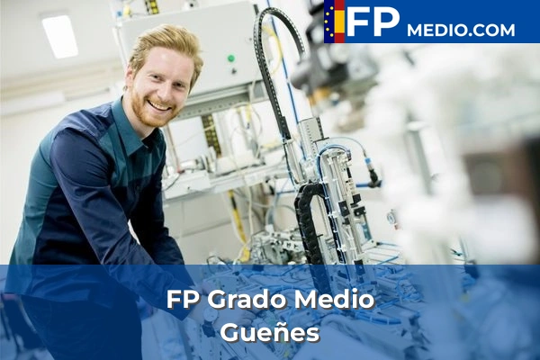 FP Grado Medio en Gueñes
