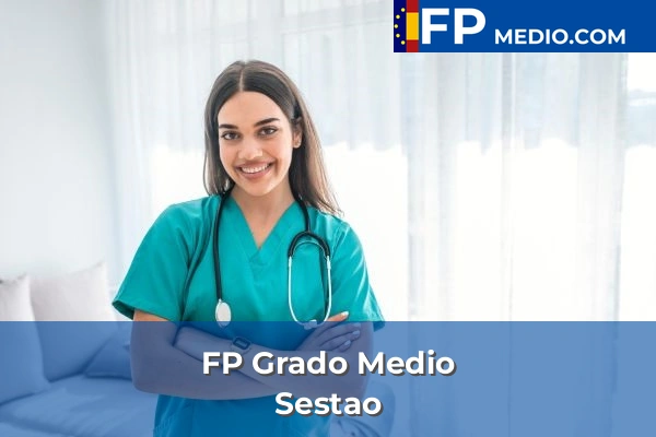 FP Grado Medio en Sestao